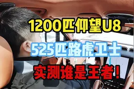 1200匹仰望U8vs525匹路虎卫士，谁是王者实测一目了然 #仰望u8视频封面