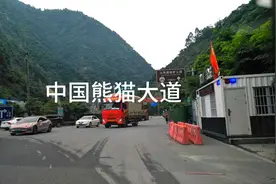 中国熊猫大道视频封面