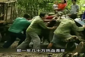 一口气看完《孽债》视频封面