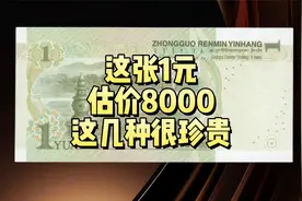 99年1元，估价8000，哪几种遇到就发了视频封面