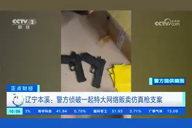 辽宁本溪：警方侦破一起特大网络贩卖仿真枪支案视频封面