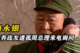 67年肖永银收养战友遗孤，周总理来电询问，肖永银：打我都没意见视频封面