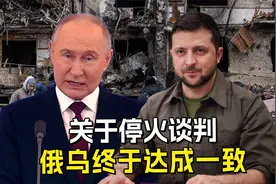 关于停火谈判，俄乌终于达成一致？ 泽连斯基的想法得到克宫同意