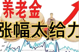 养老金2025年涨幅给力，计发基数调整与你有关，转发亲朋周知视频封面