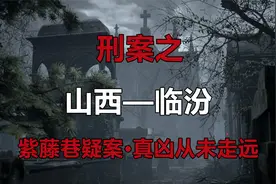 山西紫藤巷凶案，重新调卷审查，真凶并未走远..视频封面