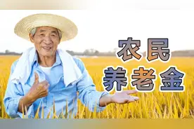 山东快满60岁的农民，一次性补缴45000元，补缴与存款谁收益更高视频封面