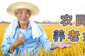山东快满60岁的农民，一次性补缴45000元，补缴与存款谁收益更高视频封面