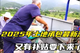2025年土地承包最新消息，又有补贴要下来了！视频封面
