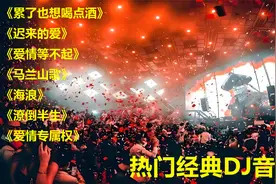 2024精选劲爆DJ《累了也想喝点酒》《迟来的爱》《爱...