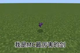 谁才是我的世界最强的？