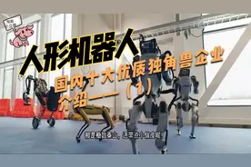 国内人形机器人10大龙头企业，未来有望大爆发的优质公司（1）