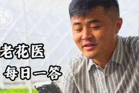 鹤望兰干叶怎么办？佳澄应该怎么去剪？视频封面