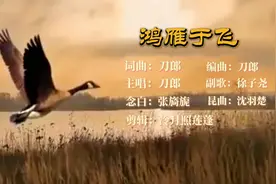 刀郎《鸿雁于飞》完整版MV：一首从《诗经》飘出来的灵魂天籁之歌视频封面