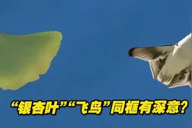 《东部战区MV中银杏叶与飞鸟同框，暗藏六代机玄机？》视频封面