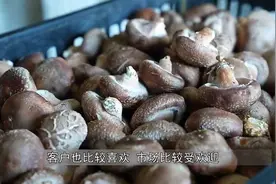 济宁邹城市：香菇种植带来乡村振兴新“蘑”力视频封面