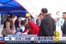 一线调研：让农民工就业渠道越来越宽视频封面