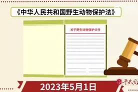 野生动物保护法知多少？这个视频告诉你。视频封面