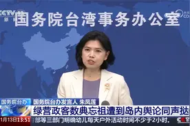刘德华台北演唱《中国人》遭绿营攻击 国务院台办回应视频封面