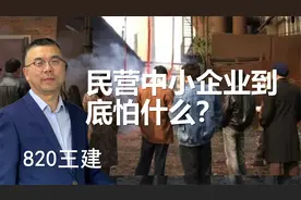 民营中小企业到底怕什么？视频封面