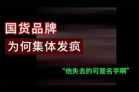 这次集体发疯！互联网商战，俺们国货指定不能输视频封面