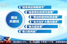新闻1+1：2025中国经济，中央政治局会议怎么看？视频封面