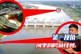 有人发现了巨大的未知怪物，就藏在河里，大家都说那是鳄鱼怪兽？视频封面