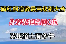 道教最高级别大合影：身穿紫袍稳居C位，紫袍道士有多牛？