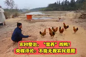 农村整治，“禁养”鸡鸭？央媒评论：不能无视农民意愿视频封面