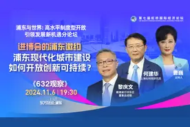 浦东现代化城市建设 如何开放创新可持续？视频封面
