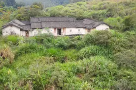 广东山里一富豪祖宅，全家移民新加坡，留下老屋空荡荡视频封面