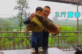 买一颗8斤重的竹笋，做江浙特色酱烧竹笋，脆爽鲜嫩酱香味浓郁视频封面