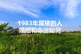 1983年属猪的人，婚姻和命运会是怎样的呢？视频封面