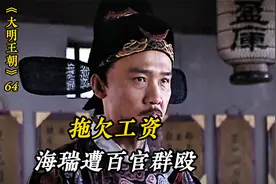 大明王朝拖欠工资，海瑞遭百官群殴，心灰意冷！视频封面