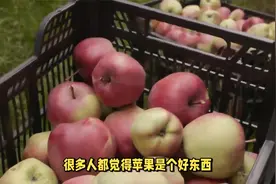 青岛一68岁大爷每天晚上一个苹果，一年后去体检，医生：太无知视频封面