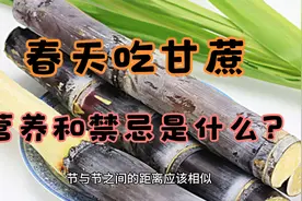 春天的甘蔗不应季，好处坏处一次说清楚，轻松挑选爱吃也要有技巧视频封面