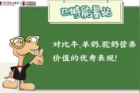 骆驼奶粉厂家告诉你：对比牛、羊奶，驼奶粉的营养价值有哪些？视频封面