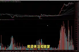 超级牛散李光宇重仓股票情况视频封面