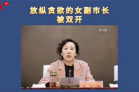 放纵贪欲的女副市长，被双开视频封面
