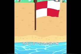 海边不同颜色的旗子代表不同的警示