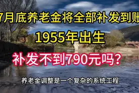 7月31日前养老金将全部补发到账，1955年出生，补发不到790元吗？视频封面