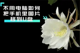怎样把手机里的图片导入U盘？其实操作简单，方便又实用视频封面
