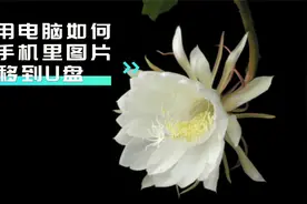 怎样把手机里的图片导入U盘？其实操作简单，方便又实用视频封面