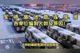 军、师、旅、团、营、连、排、班
各单位编制人数及原因！视频封面