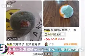 闲鱼平台发霉橘子卖至上千元 可用作医学研究？
