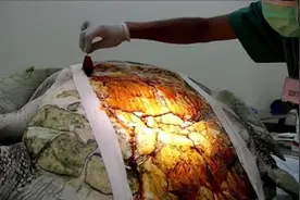 北极挖出史前生物，57000年前尸体暴露在外，人类该警惕！视频封面