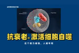 你想变年轻，就需要激活细胞自噬！视频封面