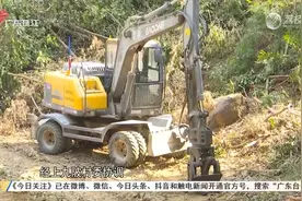挖机2分钟砍一棵树疑致山体损毁，涉事当地介入处理视频封面