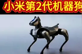 小米第二代机器狗，萌宠新宠，智能陪伴！视频封面