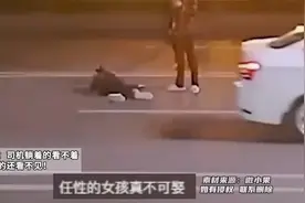 情侣起冲突，在马路中央吵架，怀孕女子躺在地上闹男生打着电话！视频封面