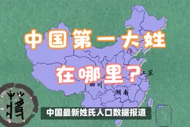 姓氏分布反映中国历史变迁：王、李、张等姓氏遍布各地视频封面